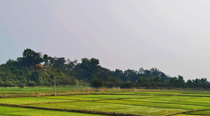 টেকনাফ সীমান্ত দিয়ে আবারো রোহিঙ্গা অনুপ্রবেশ, অপেক্ষায় ৪০ হাজার