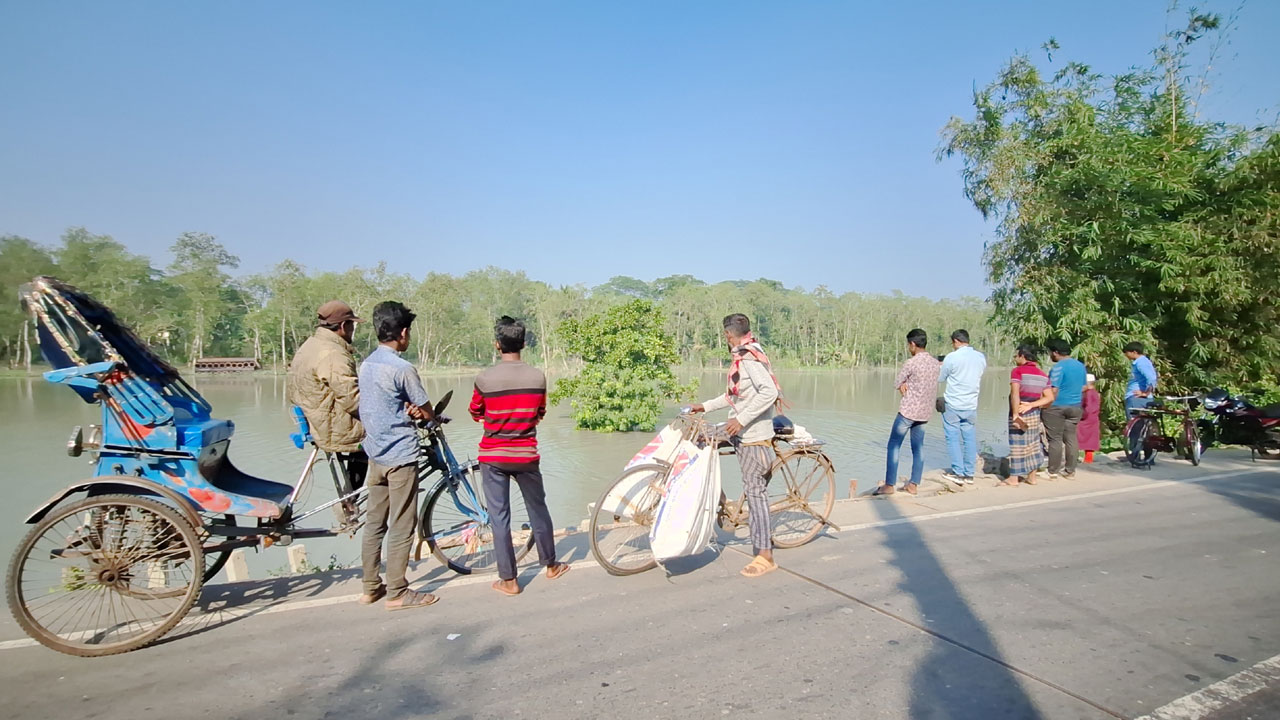 রাতের আঁধারে নদীর মাঝে চলে গেছে গাছ, এলাকায় চাঞ্চল্য