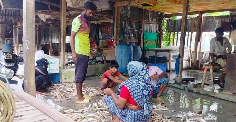 সাগরে নিষেধাজ্ঞা উপেক্ষা করে চলছে মাছ শিকার