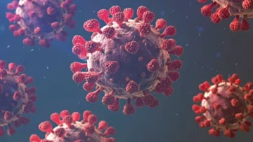আরও ১৪ জনের করোনা