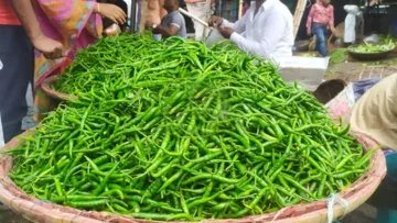 কাঁচা মরিচের কেজি ৪০০ টাকা