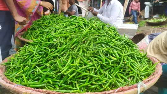 কাঁচা মরিচের কেজি ৪০০ টাকা