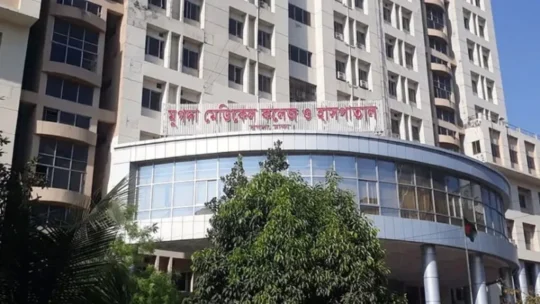 ডেঙ্গু আক্রান্ত শিশুকে ভর্তি করানো নিয়ে হাতাহাতি, আটক বাবা