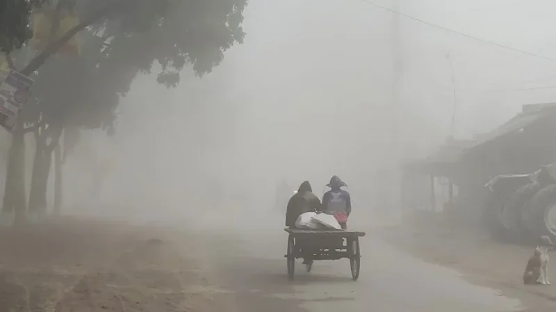 দিনাজপুরে ঠান্ডায় ঘন কুয়াশা জনজীবন বিপর্যস্ত