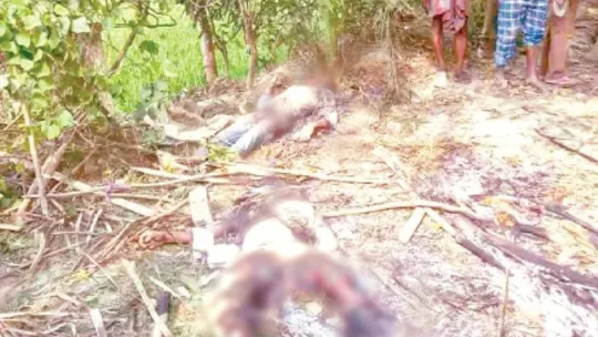 বিশেষ ক্রোড়পত্র; গুজবের পরিণাম