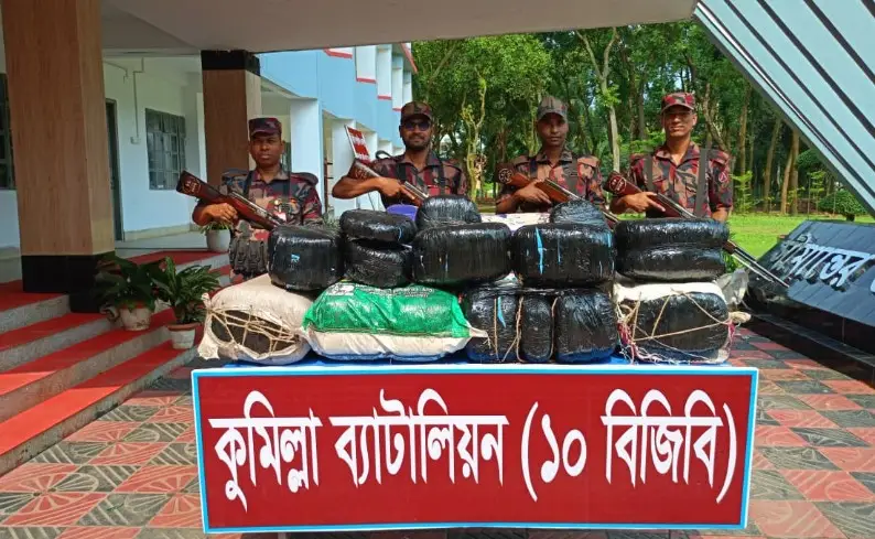 চৌদ্দগ্রামে ফার্নিচারের দোকানে মিলল ১৪৮ কেজি গাঁজা, বিজিবির অভিযান