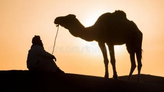উম্মতে মোহাম্মদীর মৃত্যু