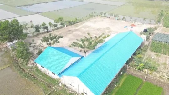 শিক্ষাব্যবস্থার ত্রুটিই জাতি ধ্বংস করছে