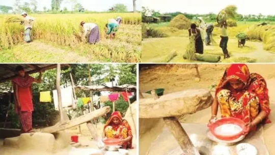 সংস্কৃতির মাধ্যমে ধর্মের প্রকৃত রূপ উদ্ভাসন