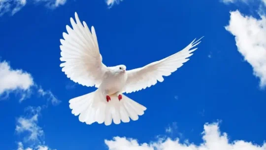 সংকটে মানুষ: পরিত্রাণের পথ কী?