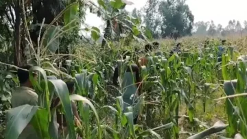 Aditmari