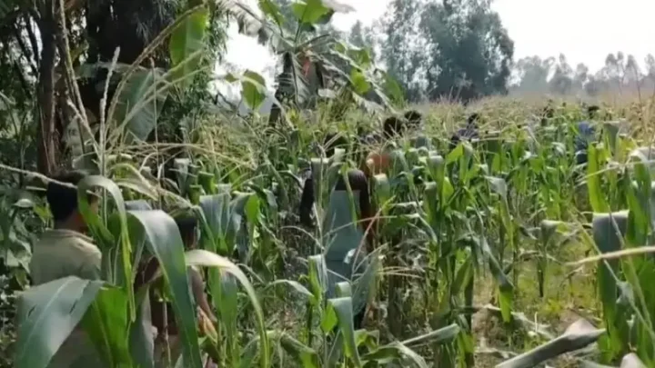 আদিতমারীতে নিখোঁজ শিশুর বস্তাবন্দি মরদেহ উদ্ধার, সন্দেহভাজনের বাড়িতে আগুন