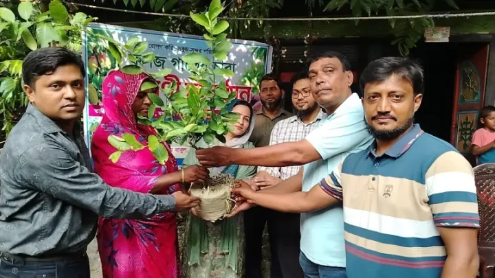 কচুয়ায় খোকন স্মৃতি সমাজকল্যাণ সংঘের উদ্যোগে ফলদ গাছের চারা বিতরণ