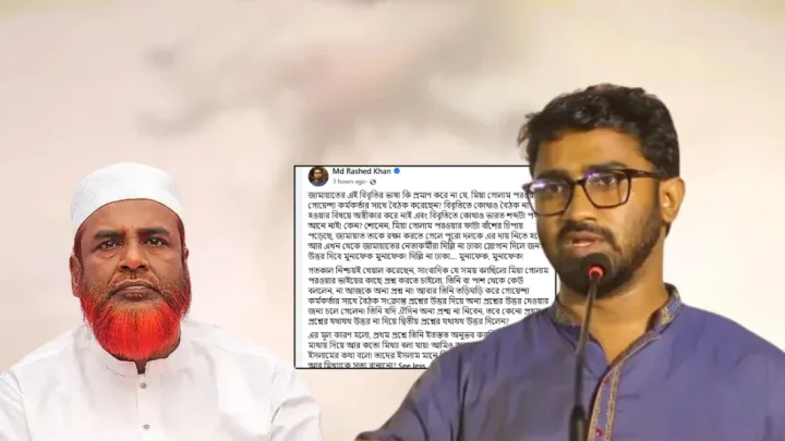গোলাম পরওয়ার ফাটা বাঁশের চিপায় পড়েছেন: রাশেদ খাঁন
