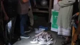 এতিমখানার ইলিশ বাড়িতে নেওয়ায় মাদ্রাসাশিক্ষকসহ দুজনকে ৮০ হাজার টাকা জরিমানা!