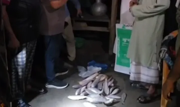 এতিমখানার ইলিশ বাড়িতে নেওয়ায় মাদ্রাসাশিক্ষকসহ দুজনকে ৮০ হাজার টাকা জরিমানা!