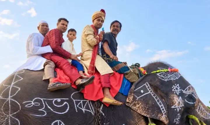 মায়ের শখ পূরণে হাতির পিঠে চড়ে বিয়ে করতে গেলেন সাকিব!