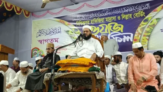 সাংবাদিকদের ‘কুত্তার মতো পেটানো দরকার’ বললেন আব্বাসী!