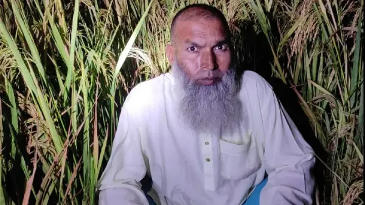 গাইবান্ধায় ধানক্ষেতে আত্মগোপনে থাকা আ.লীগ নেতা মজনু আটক!