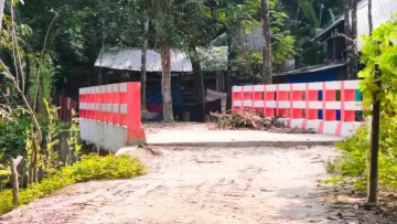 এক বাড়ির জন্য ৪১ লাখ টাকার সেতু!