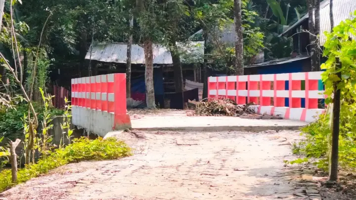 এক বাড়ির জন্য ৪১ লাখ টাকার সেতু!