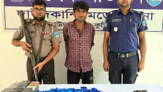 দাউদকান্দিতে পিকআপ থেকে পিস্তল ও ৩৬ হাজার ইয়াবাসহ চালক গ্রেফতার