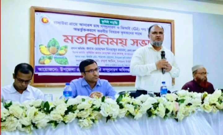 হাসাউড়ার আনারসকে জিআই পণ্যের স্বীকৃতি দিতে জেলা প্রশাসনের উদ্যোগ
