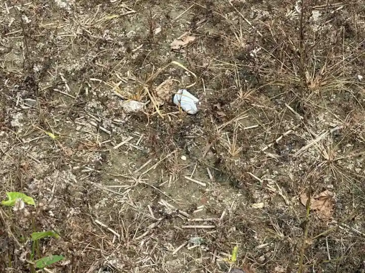 জাজিরায় খেলনা ভেবে ককটেল হাতে নিয়ে বিস্ফোরণ, কিশোর গুরুতর আহত