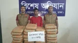 আশুলিয়ায় ৫২ কেজি গাঁজাসহ পেশাদার মাদক কারবারি গ্রেফতার, পিকআপ জব্দ