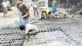 টাঙ্গাইলে রডের বদলে বাঁশ দিয়ে কালভার্ট নির্মাণকালে ধস, তিনজনকে শোকজ
