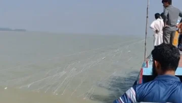 গলাচিপায় নিষেধাজ্ঞা অমান্য করে ইলিশ শিকারের উৎসব, মৎস্য বিভাগের অভিযান নিয়ে প্রশ্ন