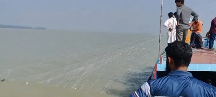 গলাচিপায় নিষেধাজ্ঞা অমান্য করে ইলিশ শিকারের উৎসব, মৎস্য বিভাগের অভিযান নিয়ে প্রশ্ন