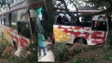 জামায়াতের লংমার্চের বাস নিয়ন্ত্রণ হারিয়ে গাছে ধাক্কা, আহত অনেকে!